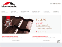 Tablet Screenshot of blachodach.pl